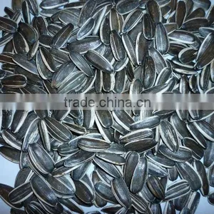 Chinese Raw Sunflower Seeds With Plumpness thumbnail-1