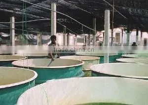 Aquamarines International (pvt) Ltd company overview - view 1 thumbnail