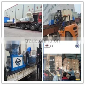 CE Approved Biomass Wood Pellet Mill for EFB, Oil Palm,Pine,Olive Shell thumbnail-6