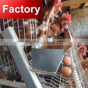 CHINA Sales Promotion 80 Dollars This Month Chicken Coop Supplies thumbnail-1