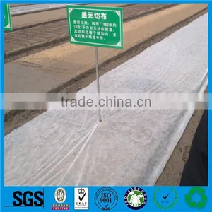 2016 pp Weeding Cloth Ground Cover Fabric,pp Ground Cover Car,non Woven Ground Cover Manufacturer thumbnail-2