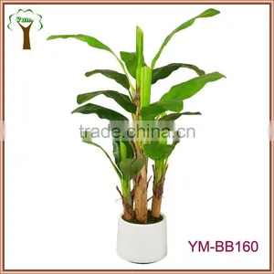 Artificial Banana Plant Potted in Planter as a Team thumbnail-1