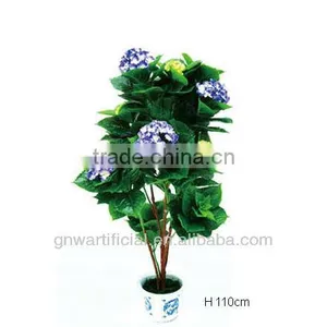 Ficus Microcarpa Bonsai Bonsai Tree Indoor Plant GNW G142 thumbnail-3