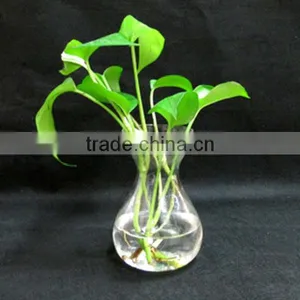 Wholesale Colored and Clear Glass Flower Vases thumbnail-1