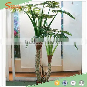 Hot Sales Artificial Cycas Palm Bonsai for Indoor Decoration thumbnail-1