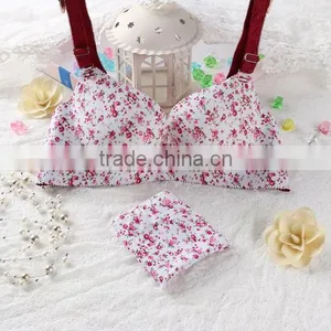 Sexy Net Designs Cheap Wholesale Nude Bra With PicturesStandard Women Sexy New Style Bra and Panty thumbnail-6
