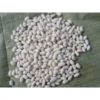 WHITE KIDNEY BEANS thumbnail-1