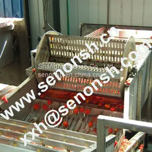 Tomato Paste Production Line With Customized Treatment Capacity thumbnail-4