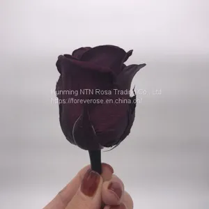 Preserved Rose Gift Arrangement Preserved Flowers thumbnail-1
