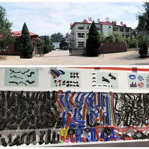 Qinghe Yuandong Rubber&plastic Factory company overview - view 1 thumbnail