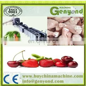 IQF Quick Freezing Sea Cucumber / Seafood Frozen Machinery / Blast Freezer Tunnel Machine thumbnail-2