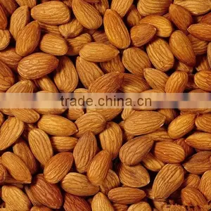 Apricot Kernels Organic thumbnail-1