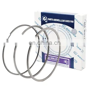 Diesel Engine Spare Part D13 Piston Ring 131mm for A71800/PH.8805 thumbnail-1