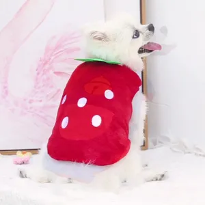 Winter Clothes for Small Dogs Pet on Clothing thumbnail-1