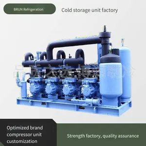 Agricultural Cold Storage, Borun Refrigeration Low-temperature Cold Storage Unit, 12 Hp, 4yd-12.2, Well-made Outdoor Cold Storage Unit thumbnail-5