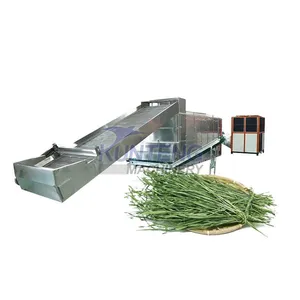 Chain Band Conveyor Machine Dryer Alfalfa Drying Machine Tea Drying Machine Drying Equipment EPC thumbnail-1