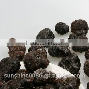 High Quality Fresh Black Truffle From Yunnan,china thumbnail-3