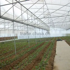 Anti-high Wind Strong Film Greenhouse thumbnail-2