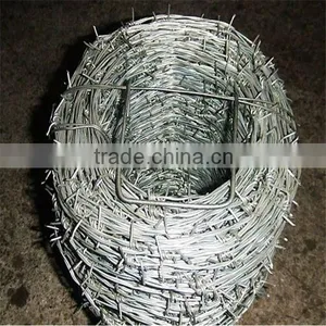 Barbed Wire in Coil thumbnail-1