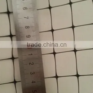 100% pp Plastic Grass Growing Net/Turf Growing Net thumbnail-6