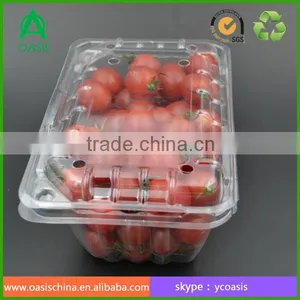 China Wholesale Disposable Cherry Tomatoes Packaging Box With Lid thumbnail-5