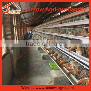 Chicken Use Welded Wire Chicken Layer Cages Types of Battery Cage System in Poultry thumbnail-4