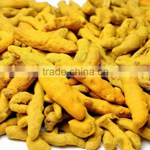 UK Quality Turmeric Finger thumbnail-1