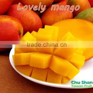 Hot Sale Fresh Mango (Grade AAA) thumbnail-5