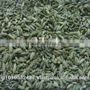 Fennel Seeds Green Colour thumbnail-1