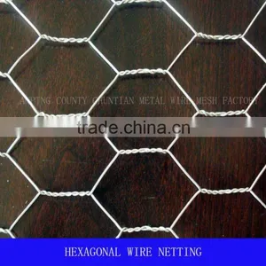 Hexagonal Wire Netting in 1/2" to 3" for Feeding thumbnail-1