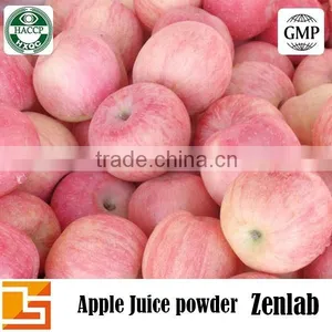 Freeze Dried Apple Juice Powder thumbnail-3