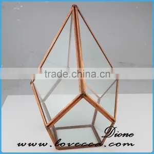 Unquie Shape Custom-made Home Garden Geometric Glass Terrarium Perfect With Black Metal Frame Lead and Nickle Free thumbnail-6