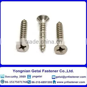 Stainless Steel Self-Tapping Screws With Cross Recessed Pan/ Countersunk Head/raised Countersunk Head ,DIN933/931 H.D.G thumbnail-1