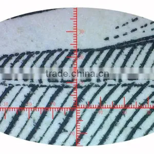 Patent MDA2000R Handheld Digital Microscope Cameras for Video Inspectio With Reticle Measurement Function thumbnail-6