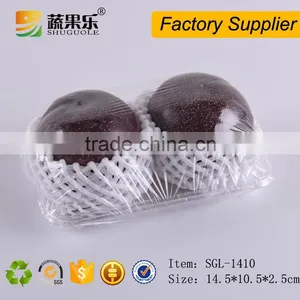 Blister Plastic Disposable Food Fruit Tray thumbnail-3