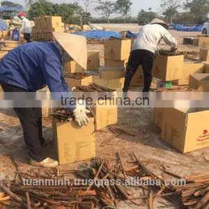 Vietnam Cassia Split Best Quality With Fasten Loading & Attractive Price in 2017 thumbnail-3
