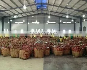 Vinagrin Import Export Co.,ltd company overview - view 2 thumbnail