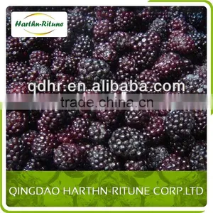 Grade a Frozen Blackberry thumbnail-3