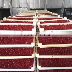 Chinese Dried Cherry Pitted thumbnail-2