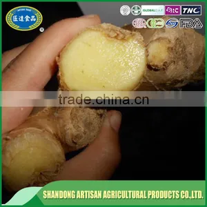 Professional Supplier,exporter Dry Ginger thumbnail-4