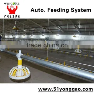 Automatic Poultry House Animal Feeding Line for Broiler Chicken Poultry Equipment in Animal Feeding System thumbnail-2