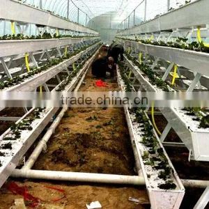 Hydroponic Gutter for Strawberry thumbnail-4