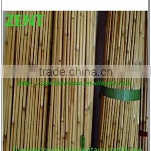 Zent -59 Reed Pole /bamboo Pole thumbnail-1