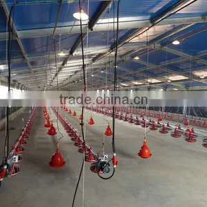 Light Steel Chicken House thumbnail-6