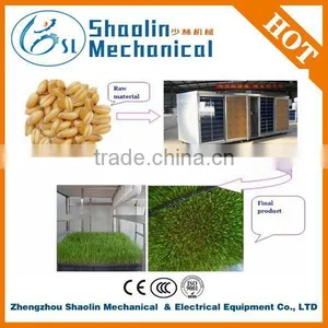 Lowest Price Bean Sprout Cleaning Machine With Best Service thumbnail-1
