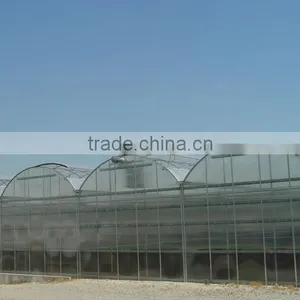 Tomato Greenhouse Greenhouse for Tomatoes/ Cucumber/ Peppers thumbnail-2