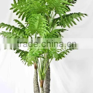 Oramental Green Bonsais thumbnail-1