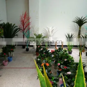China Factory Supply Artificial Plants thumbnail-5