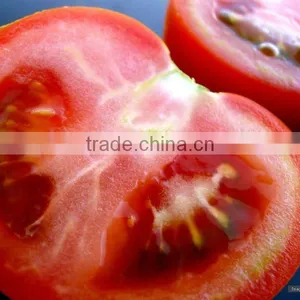 2011 Hot-Selling Natural Popular Glass Vegetables and Fruits Ornaments thumbnail-1