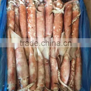 Top Quality Frozen Squid Todarodes Pacificus Frozen on Vessel With Best Freshness thumbnail-1